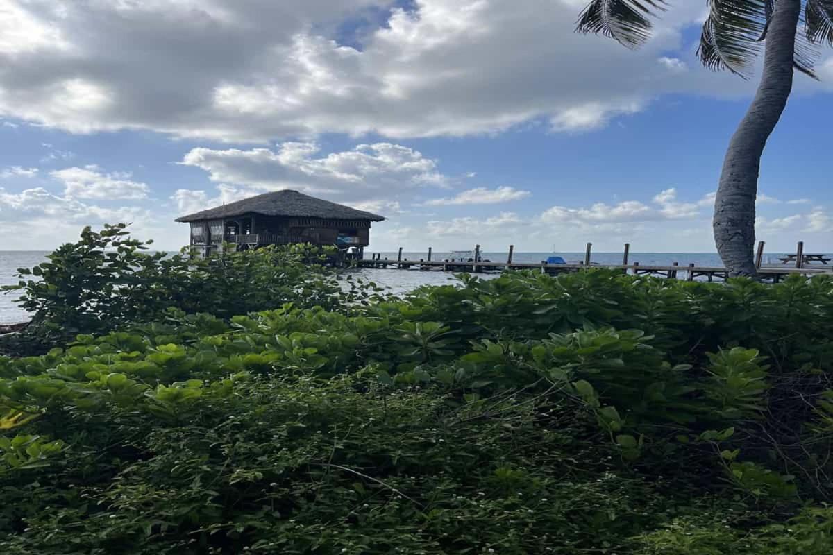 Residences At Barrier Reef 15A Garden View 1 Bedroom By Stay Floreo San Pedro  Exterior photo